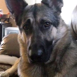 Meet your Posher, Stacey